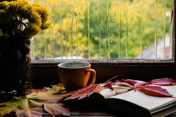 秋爱为咖啡豆和向书