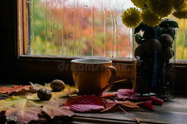 秋咖啡豆和雨