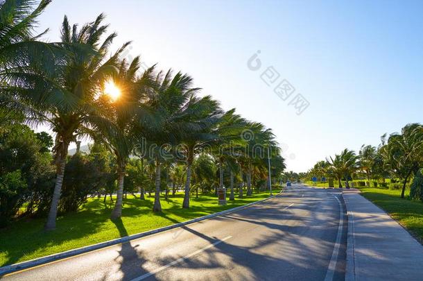 墨西哥的旅游城市坎昆墨西哥uclcan公司大街墨西哥