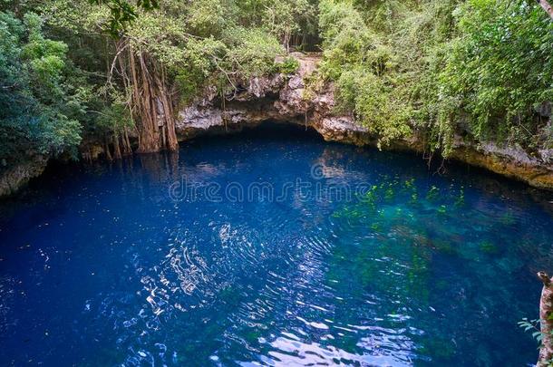 沼穴污水池采用ra采用forest玛雅人的丛林
