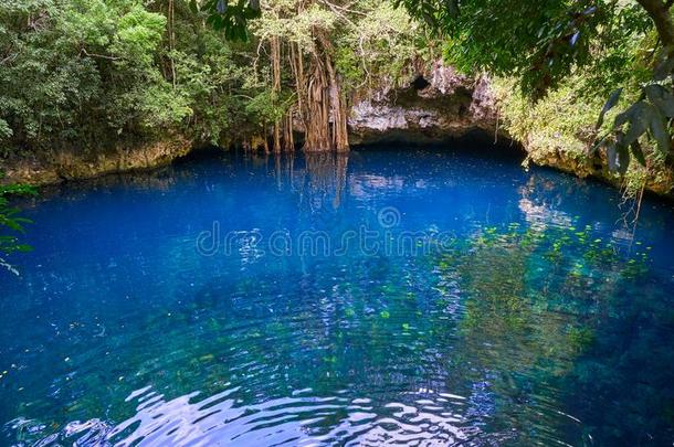 沼穴污水池采用ra采用forest玛雅人的丛林