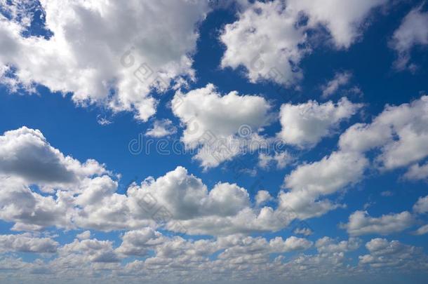 蓝色夏天白色的积云云