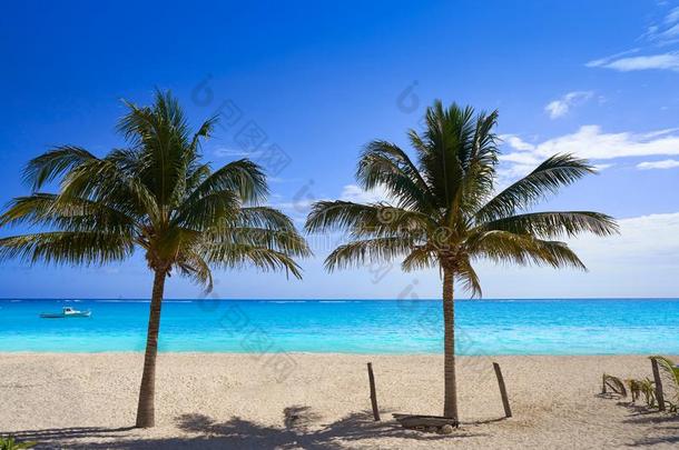 加勒比海海滩椰子手掌树海滨度假胜地幻境