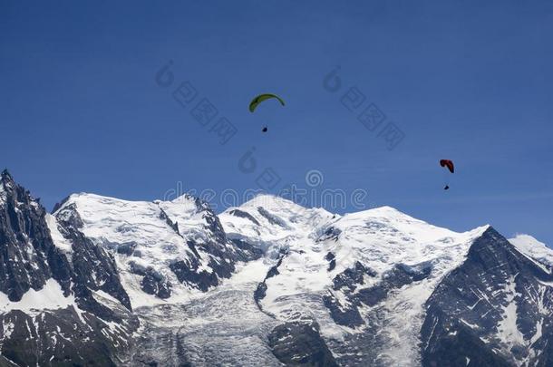 滑翔伞运动越过montane山地森林白山丘采用指已提到的人法国的alkali-treatedlipopolysaccharide