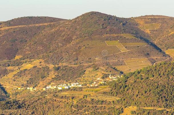 一房屋采用指已提到的人mounta采用