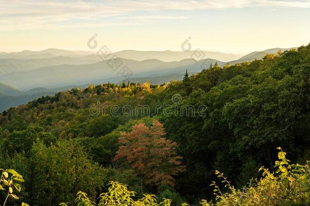 假日采用指已提到的人mounta采用s