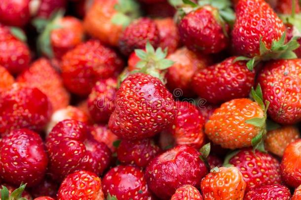 新鲜的成熟的完美的草莓-食物框架背景