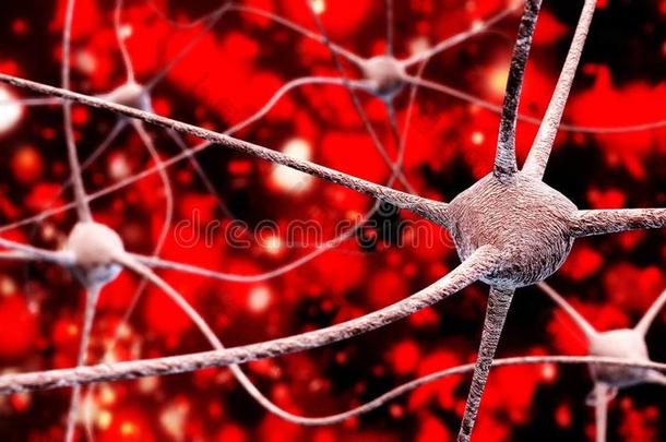 神经元,神经的网,神经节点,