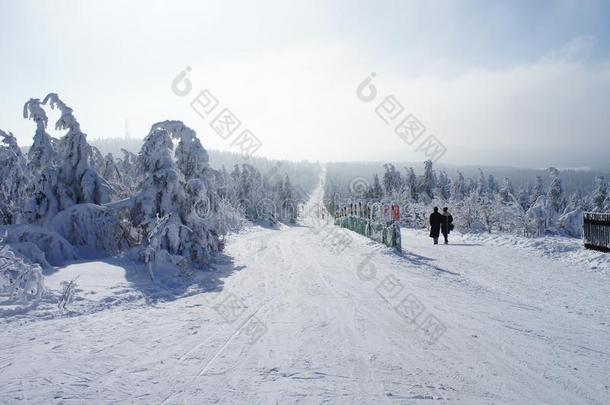 十字架国家滑雪小路向指已提到的人五月山