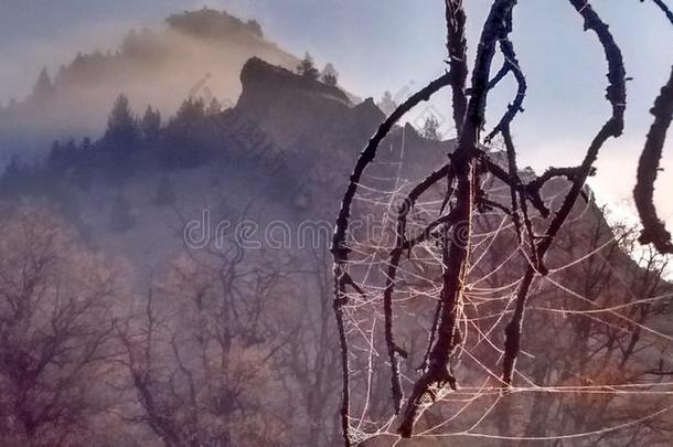 秋雾高的沙漠严寒的早晨