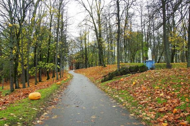 小路和富有色彩的秋树,立陶宛