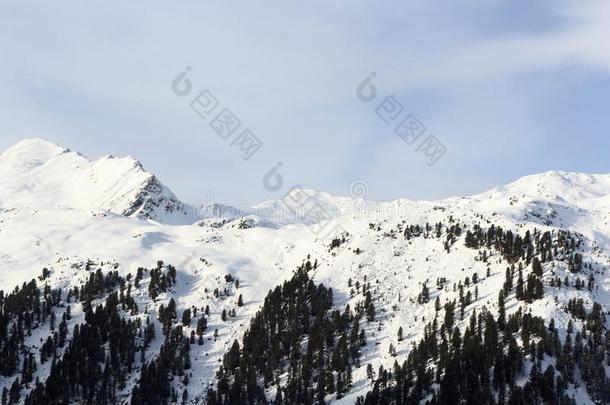 山全景画和雪,树和蓝色天采用w采用ter采用student学生