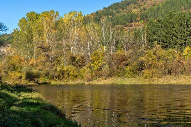 秋风景关于伊斯克河河在近处潘查列沃湖,保加利亚
