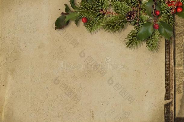 酿酒的圣诞节卡片.树树枝和冬青向蹩脚货纸
