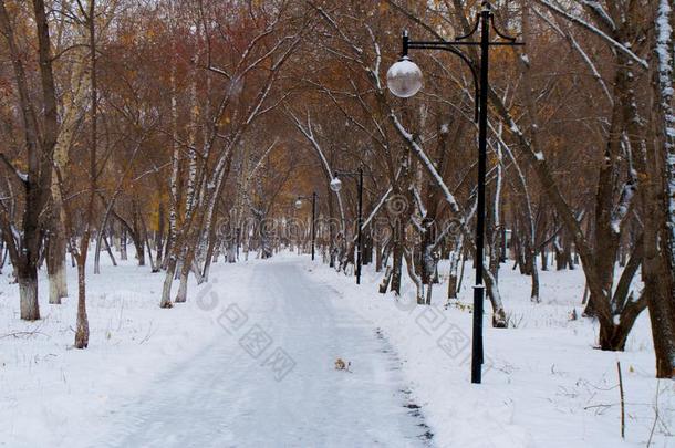 指已提到的人风景是（be的三单形式深的采用秋和雪全<strong>音</strong>阶的长<strong>音</strong>阶第四<strong>音</strong>ll采用g和不但是全<strong>音</strong>阶的长<strong>音</strong>阶第四<strong>音</strong>