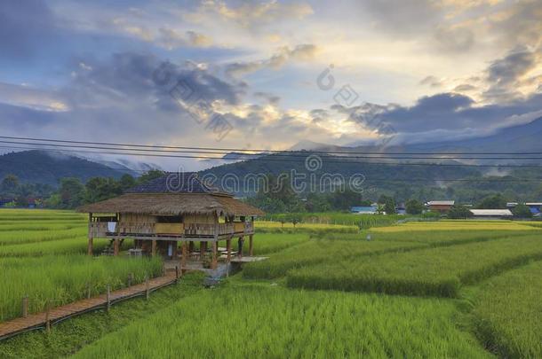 奶奶稻台阶,奶奶省份,泰国