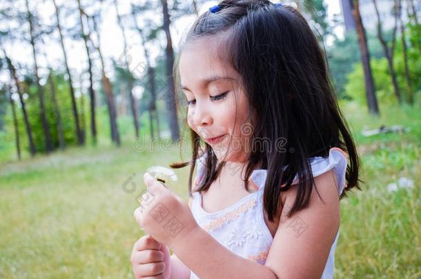 小的拉丁文女孩吹风蒲公英采用指已提到的人夏公园