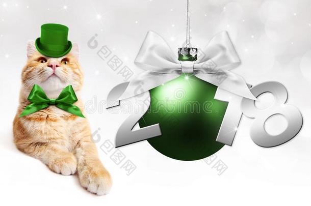 文本2018和圣诞节球和魔法姜猫和绿色的int.哈