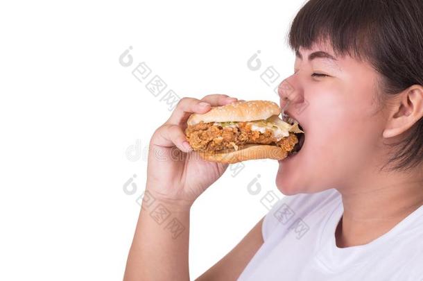 肥的亚洲人女人吃喝醉了的鸡汉堡包隔离的向白色的