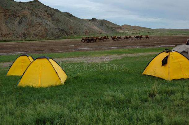 野营帐篷采用蒙古的草原