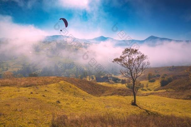 进行滑翔伞运动轮廓飞行的在上面有雾的喀尔巴阡山脉的小山