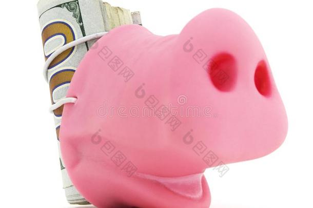 猪长鼻子和现金