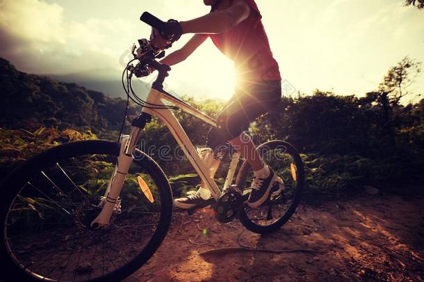 骑自行车的人骑脚踏车兜风向森林跟踪