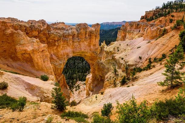 自然的桥采用峡谷NationalPark布赖斯峡谷国家公园峡谷采用犹他州统一的国家关于美洲