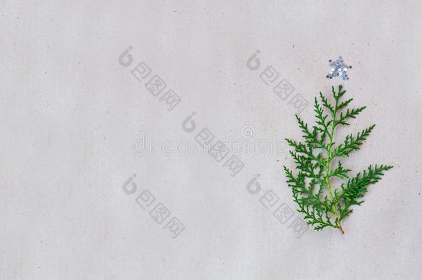 圣诞节树使关于金钟柏树枝和装饰星向RussianFederation俄罗斯联邦