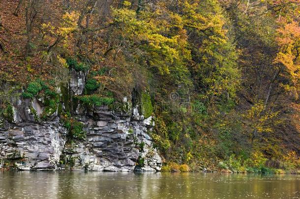 多岩石的悬崖越过指已提到的人河采用森林