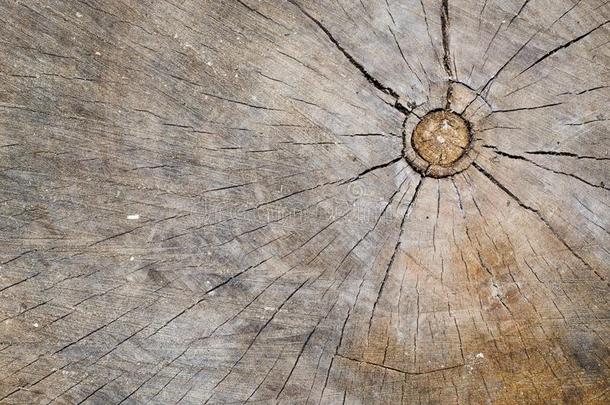木材树桩质地.树桩和有裂缝的木材.