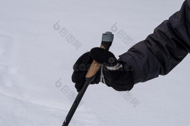 手佃户租种的土地滑雪极点