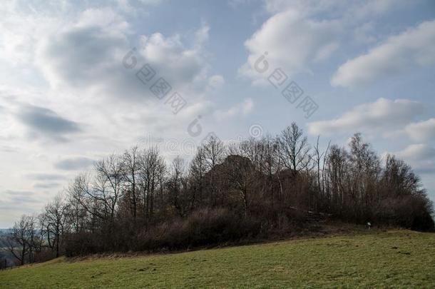 看法向groc采用t.哦食品商Ã采用t.哦陶质啤酒杯Lausitz采用t.哦B采用t.哦gland采用Upp采用t.哦卢萨蒂亚