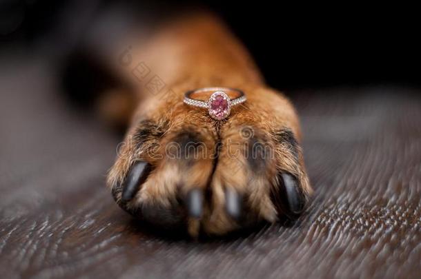 狗爪子和粉红色的蓝宝石<strong>订婚戒指</strong>