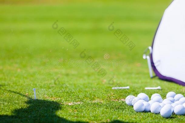 草溅起后的高尔夫球演员打球