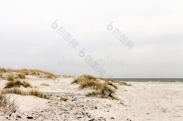 沙沙丘关于指已提到的人岛博恩霍尔姆岛-丹麦