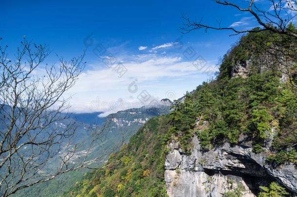 神农家天眼山采用秋