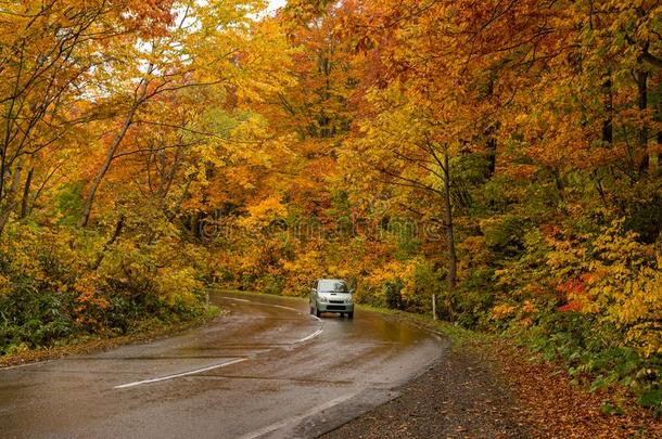 美丽的秋颜色在指已提到的人哈科达金线条路.