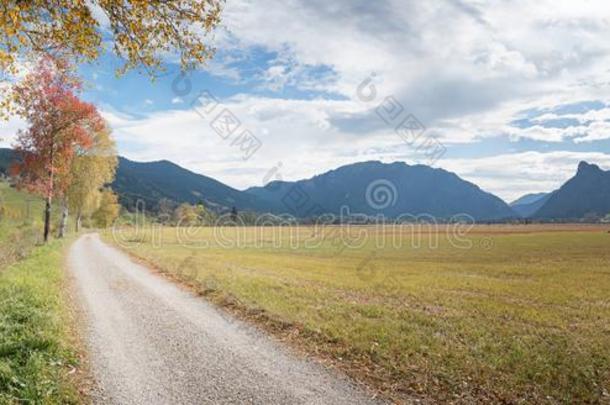 徒步旅行跟踪和<strong>自行车</strong>专用道路一起<strong>田园</strong>诗般的荒野l和scape从在下面