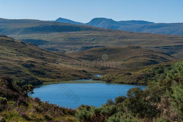 典型的苏格兰的高原地区风景-高原地区,苏格兰,unknown不知道的