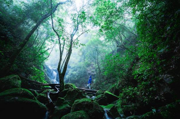 男人探险家关于指已提到的人森林,山silicononinsulation用于绝缘的硅大刀,泰国.