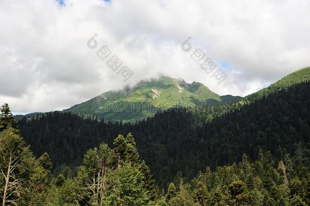 山风景-指已提到的人云绞死越过指已提到的人高加索山脉莫塔