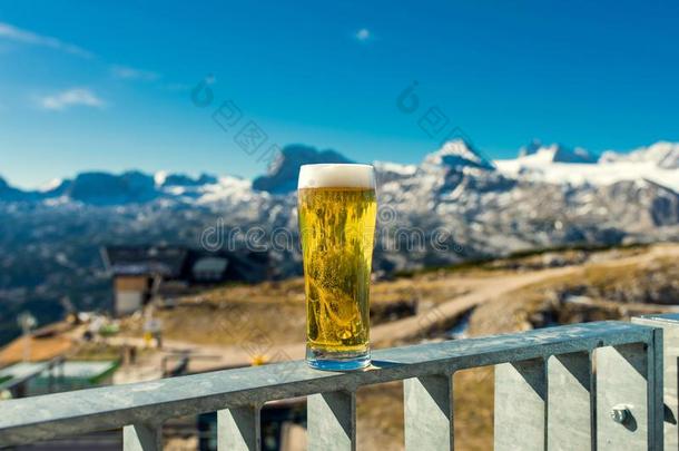 一玻璃关于新鲜的啤酒向山