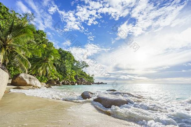 和煦的：照到阳光的一天向天堂海滩昂斯乔其纱,普拉兰岛塞舌尔<strong>41</strong>