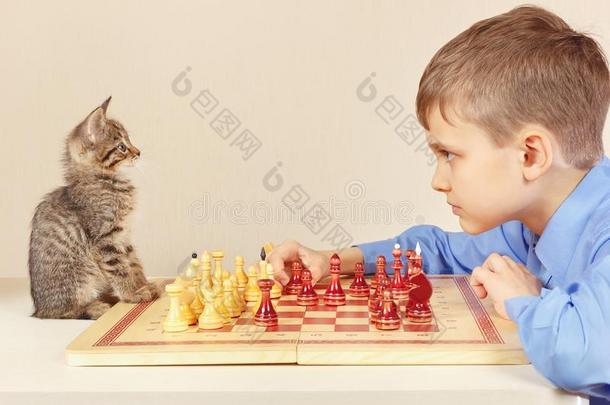 年幼的大师和漂亮的小猫演奏棋.