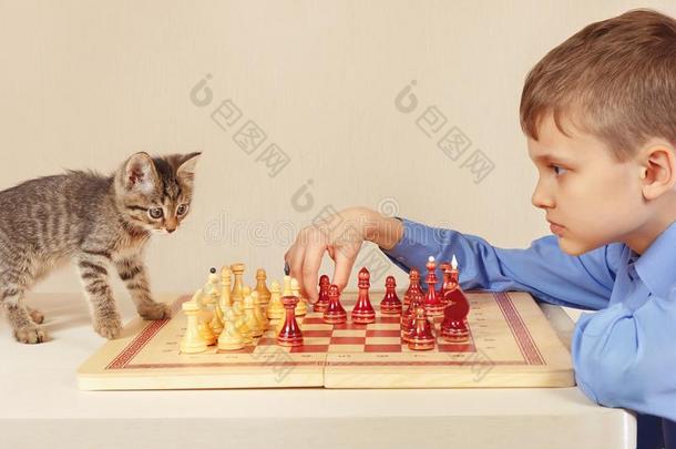 小的<strong>大师</strong>和漂亮的小猫演奏棋.