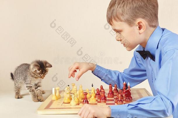 小的棋手和漂亮的小猫演奏棋.