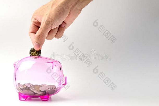 手落下coinsurance联合保险向清楚的粉红色的小猪银行和房屋模型向极少的量