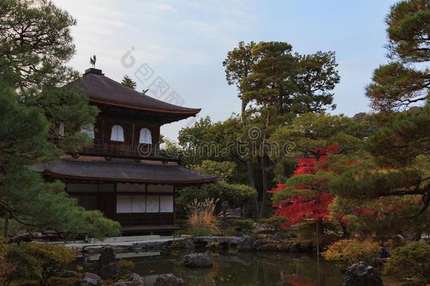 金卡库吉庙采用秋,京都,关西,黑色亮漆.