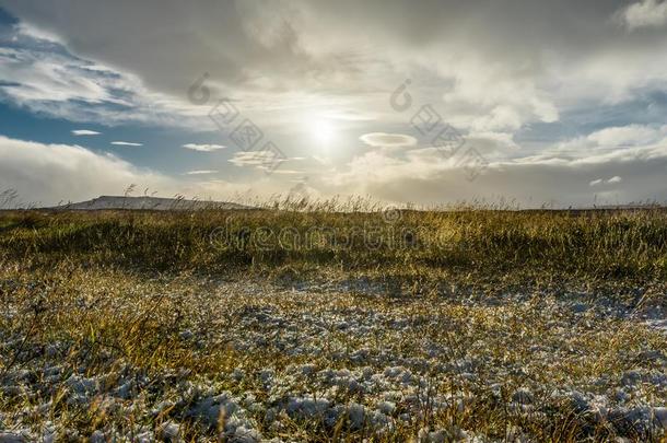 冬风景冰岛草雪冰湖在的时候金色的小时